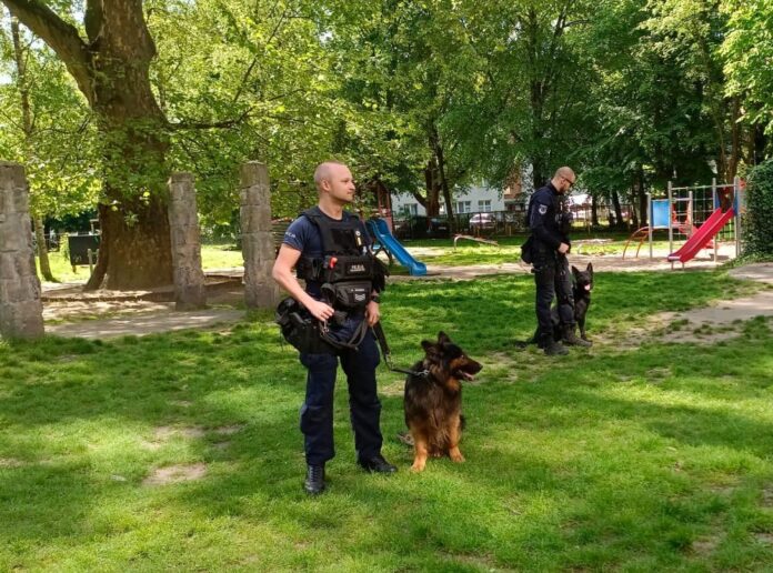 Akcja Edukacyjna Policji Fot. Policja